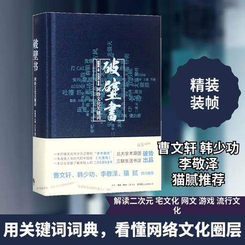 解码网络时代 《破壁书》如何重塑我们的文化认知